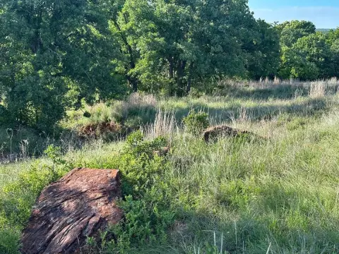 Loco, OK Vacant Land