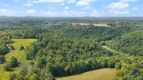 Wooded Hunting Land