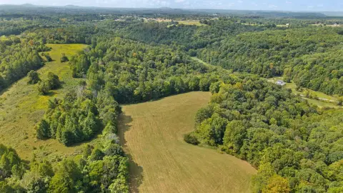 Cleared and Wooded Land