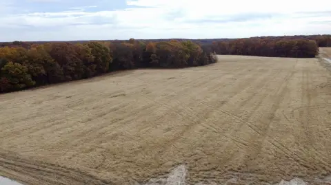 Marthasville Vacant Land Opportunity