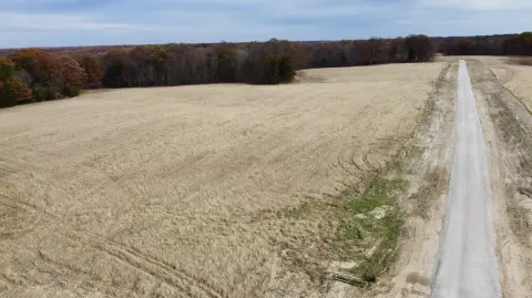 Marthasville Vacant Land Opportunity