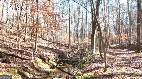 Acworth, GA Estate Lot