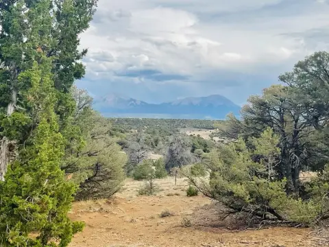Treed Residential Development Lot