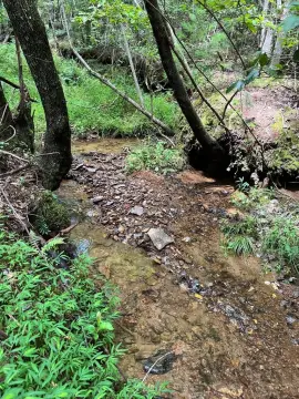 Unrestricted Homesite with Creek