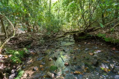 Unrestricted Mountain Tract with Stream