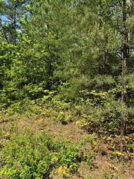 Residential Lot with View