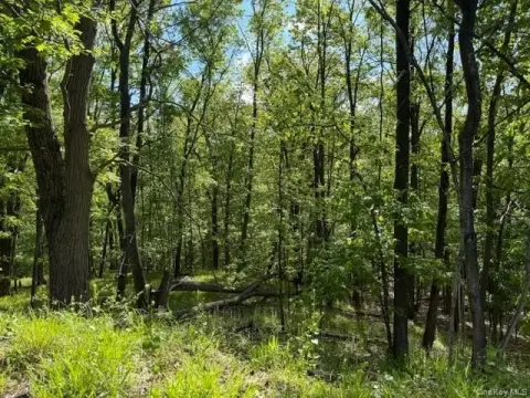Sloatsburg Land Parcel For Sale