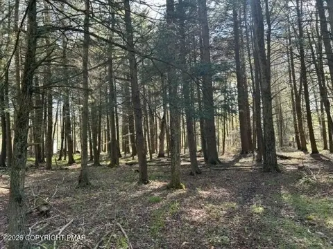 Wooded Lot in Pocono Lake