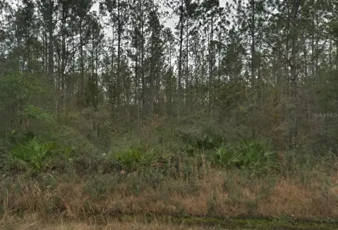 Spacious Residential Lot in Hastings