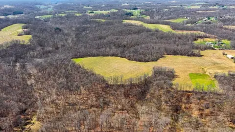Mature Hardwood Recreational Land