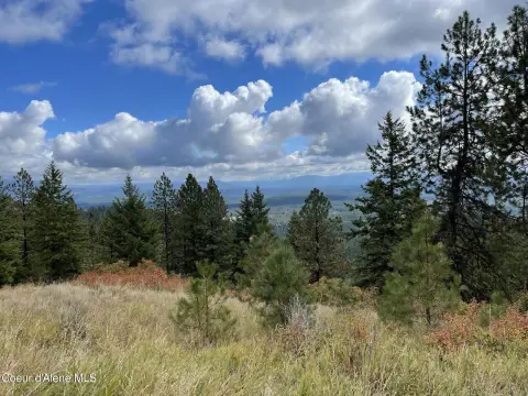 Private Forest Land with State Access