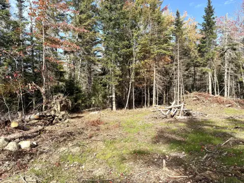 Residential Land in Perry, Maine