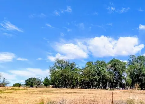 Ready-to-Go Acre in Meridian