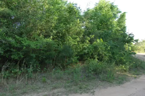 Wooded Residential Land Parcel