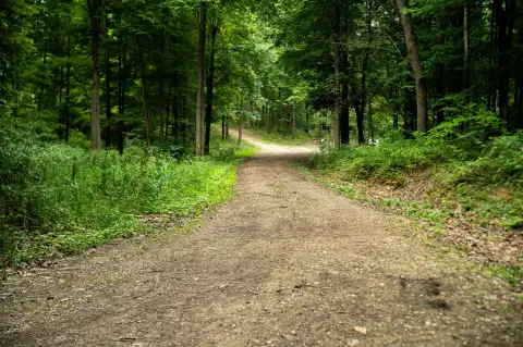 Managed Hunting Land