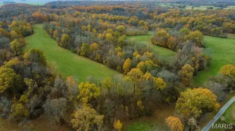 95 Acres of Hunting Land