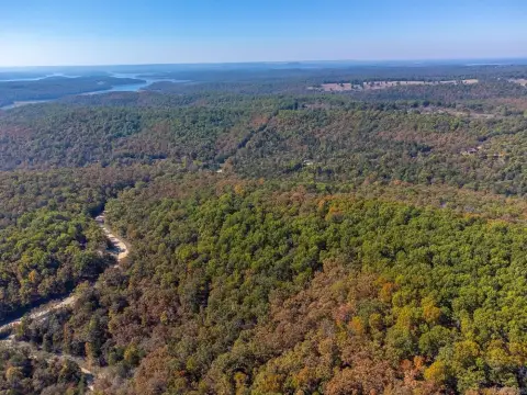 Oakland, AR Timberland Acreage