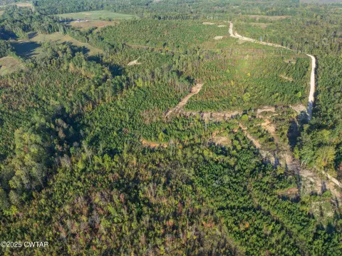 Land in Bath Springs, TN