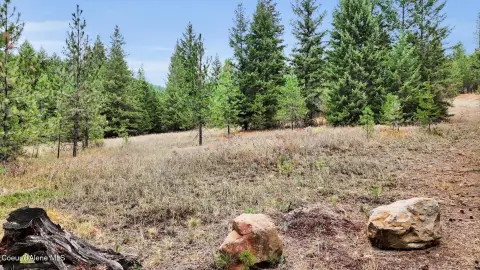 Mountain View Development Land