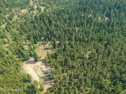 Managed Forest Recreation Land