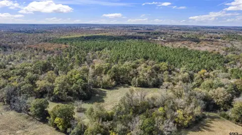 Winnsboro, TX Rural Acreage