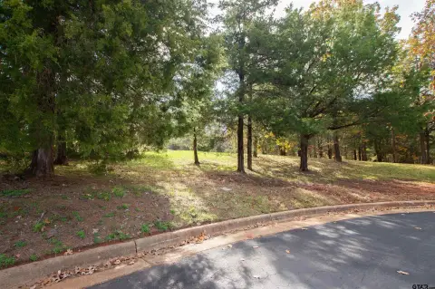 Residential Lot in Pecan Valley
