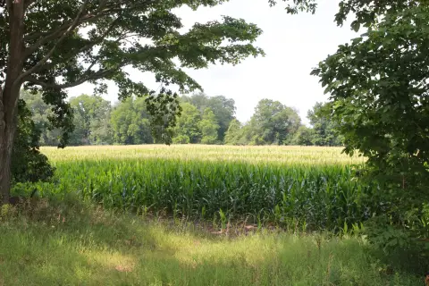 Road-Fronted Farmland Parcel