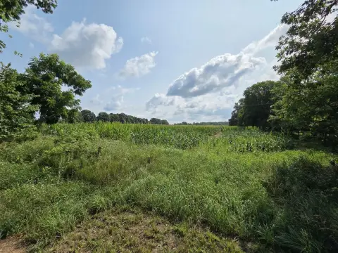 Agricultural Land with Road Frontage