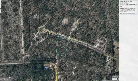 Blackshear, GA Acreage Available