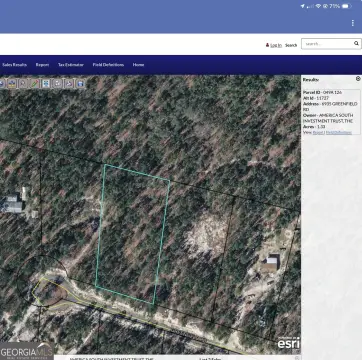 Land in Blackshear, Georgia