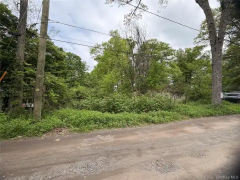 Land For Sale, Blooming Grove