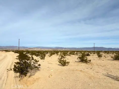 5-Acre Desert Land Parcel