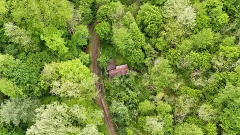 Mouthcard, KY Hunting Land