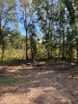 Residential Land in Hamburg Township