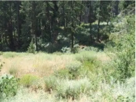 Secluded Land with Forest Access