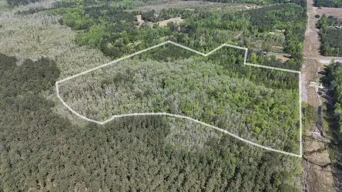 Wallace, SC Vacant Land