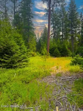 Hobby Farm Land with Trees