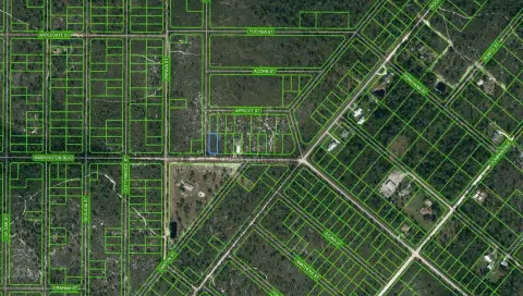 Land in Lake Placid, FL