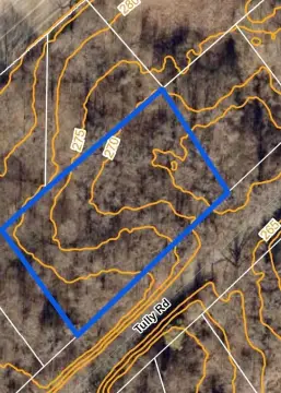 Secluded Wooded Lot in Memphis