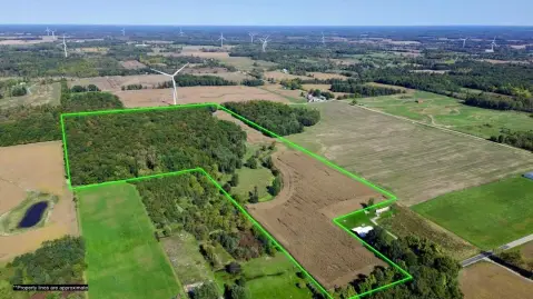 Tillable Farmland with Hardwood Timber