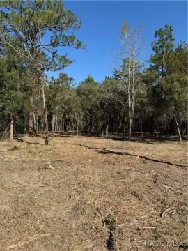 Lecanto Land on Gulf Highway