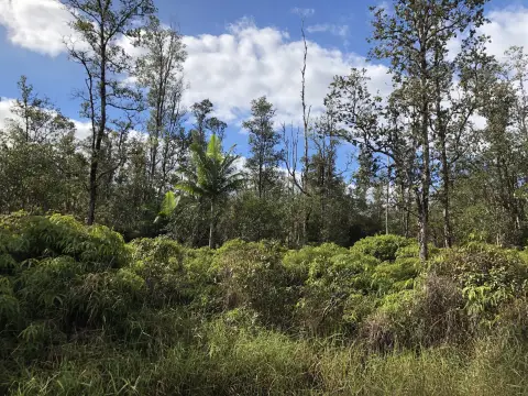 Land with All-Weather Road Access