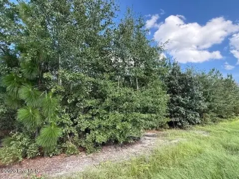 Laurinburg Wooded Acreage For Sale