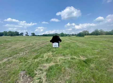 Land in Big Sandy, TX