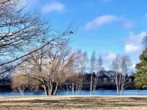 Vacant Land on Thunder Bay River