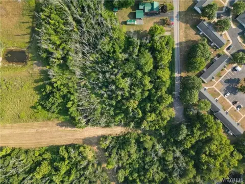 Wooded Lot in Medina, NY