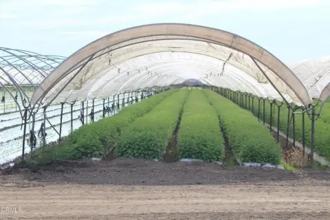 Prime Oxnard Plain Farmland Ranch