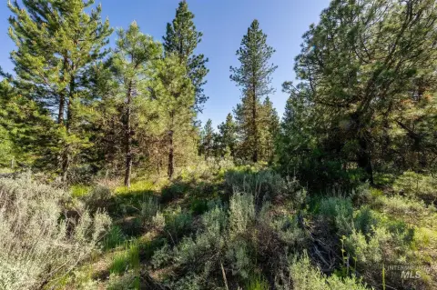 Wooded Homesite in Gated Community