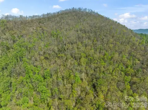 Barnardsville Mountain Land For Sale