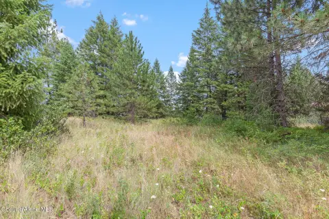 View Lot with Utilities